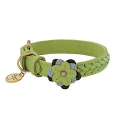 Dog Collars